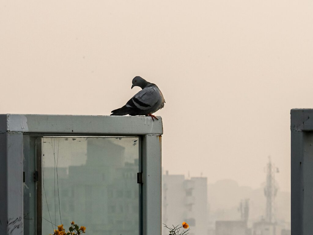 Next-Generation Air Quality Monitoring Systems